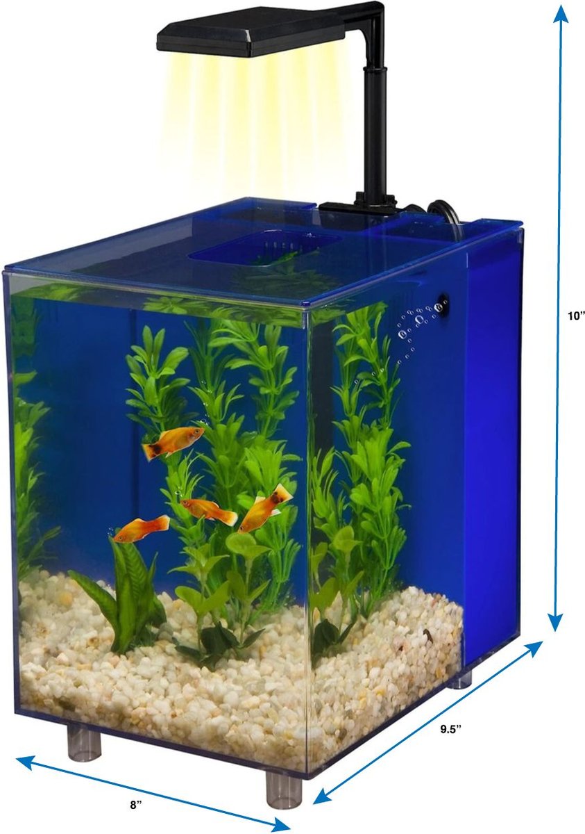 Prism Desktop Aquarium， 2-gal