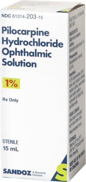 Pilocarpine (Generic) Ophthalmic Solution 1%