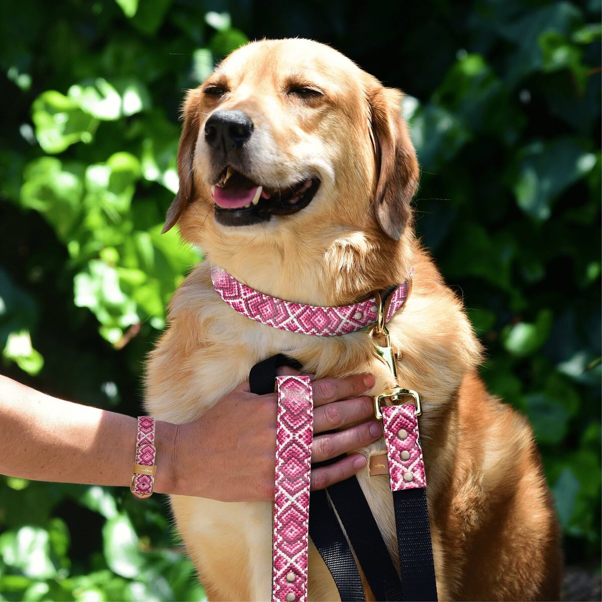 FriendshipCollar Pedigree Princess Leather Dog Leash