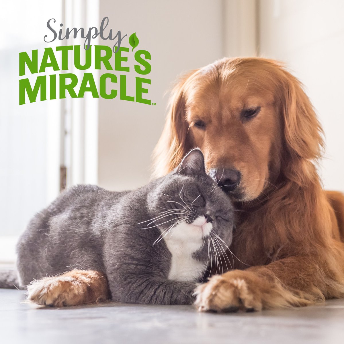 Simply Nature's Miracle Pet Stain and Odor Remover