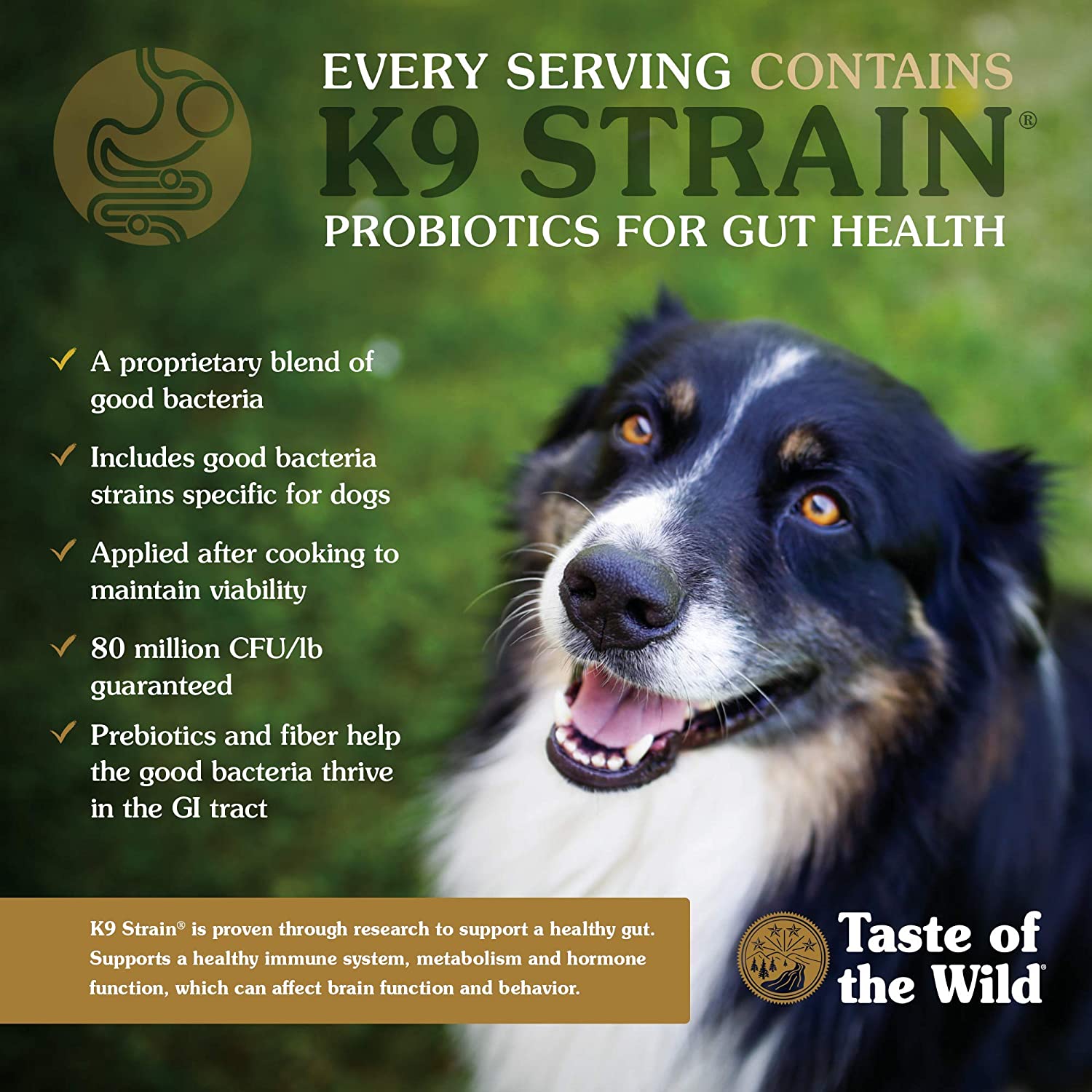 Taste of the Wild Pacific Stream Canine Grain-Free Recipe with Smoked Salmon Adult Dry Dog Food， Made with High Protein from Real Salmon and Guaranteed Nutrients and Probiotics 5lb