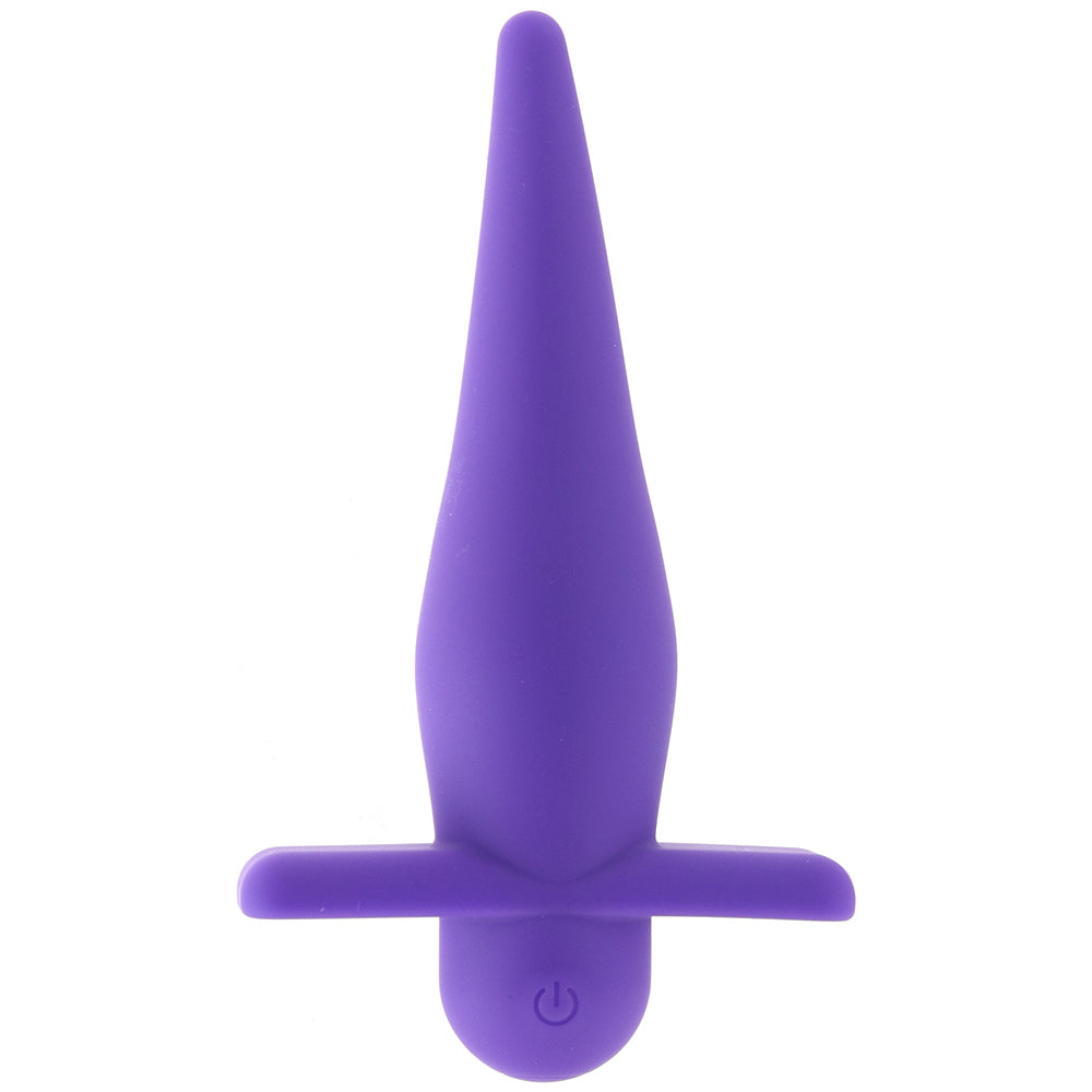 Rechargeable High Intensity Anal Probe in Purple