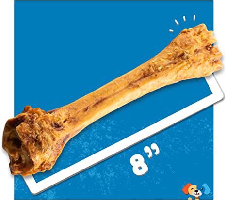 Jack and Pup Beef Shin Bone 8-in Dog Treat， 1 count