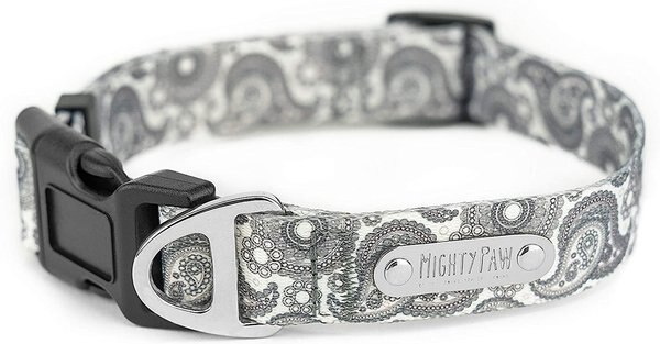 Mighty Paw Designer Paisley Dog Collar