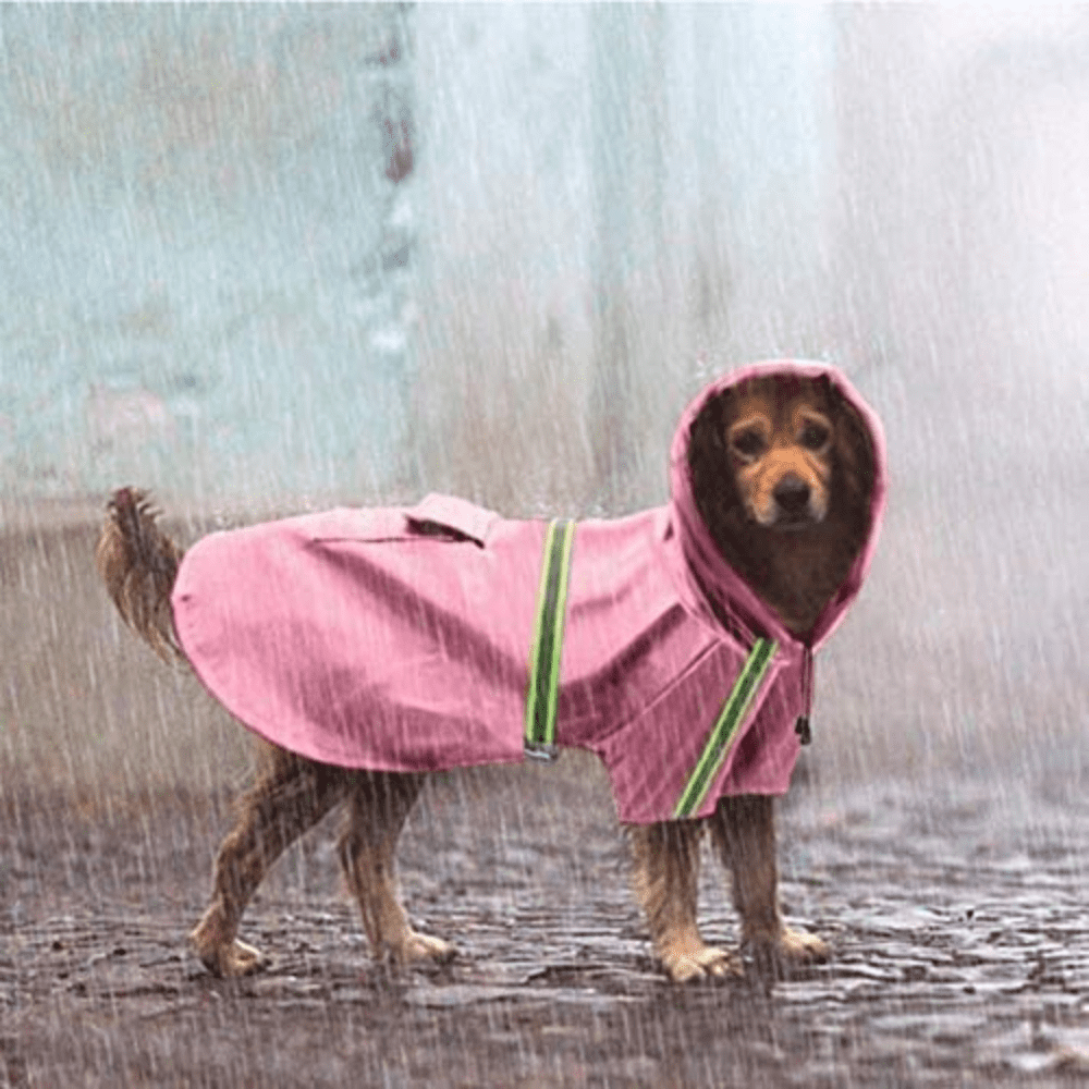 Cismea Dog Raincoats，Waterproof Windproof，Rain Jacket with Hood