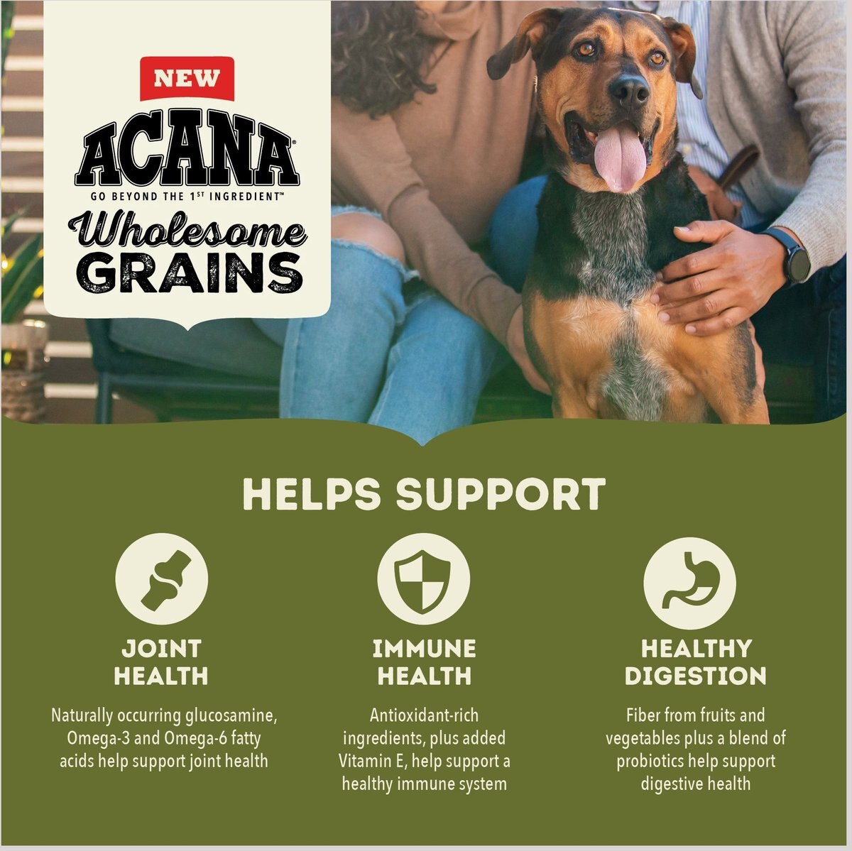 ACANA Wholesome Grains Large Breed Dry Dog Food， 22.5-lb bag