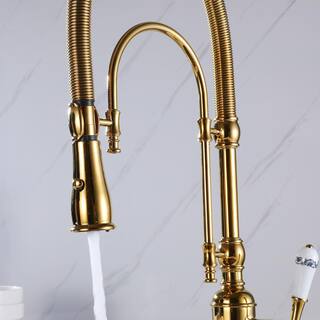 Tomfaucet Single-Handle Pull Down Sprayer Kitchen Faucet with Advanced 2-Setting Spray in Brushed Gold TFB0836BG