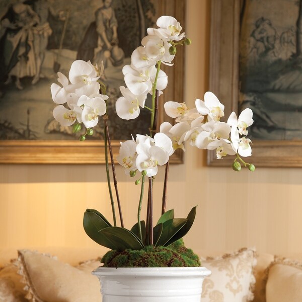 Handcrafted Phalaenopsis Orchid 30 inch Tall DropIn