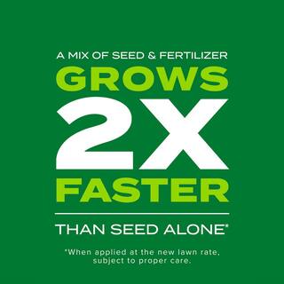 Scotts Turf Builder 5.6 lbs. Rapid Grass Sun  Shade Mix Combination Seed and Fertilizer Grows Green Grass in Just Weeks 18213-1