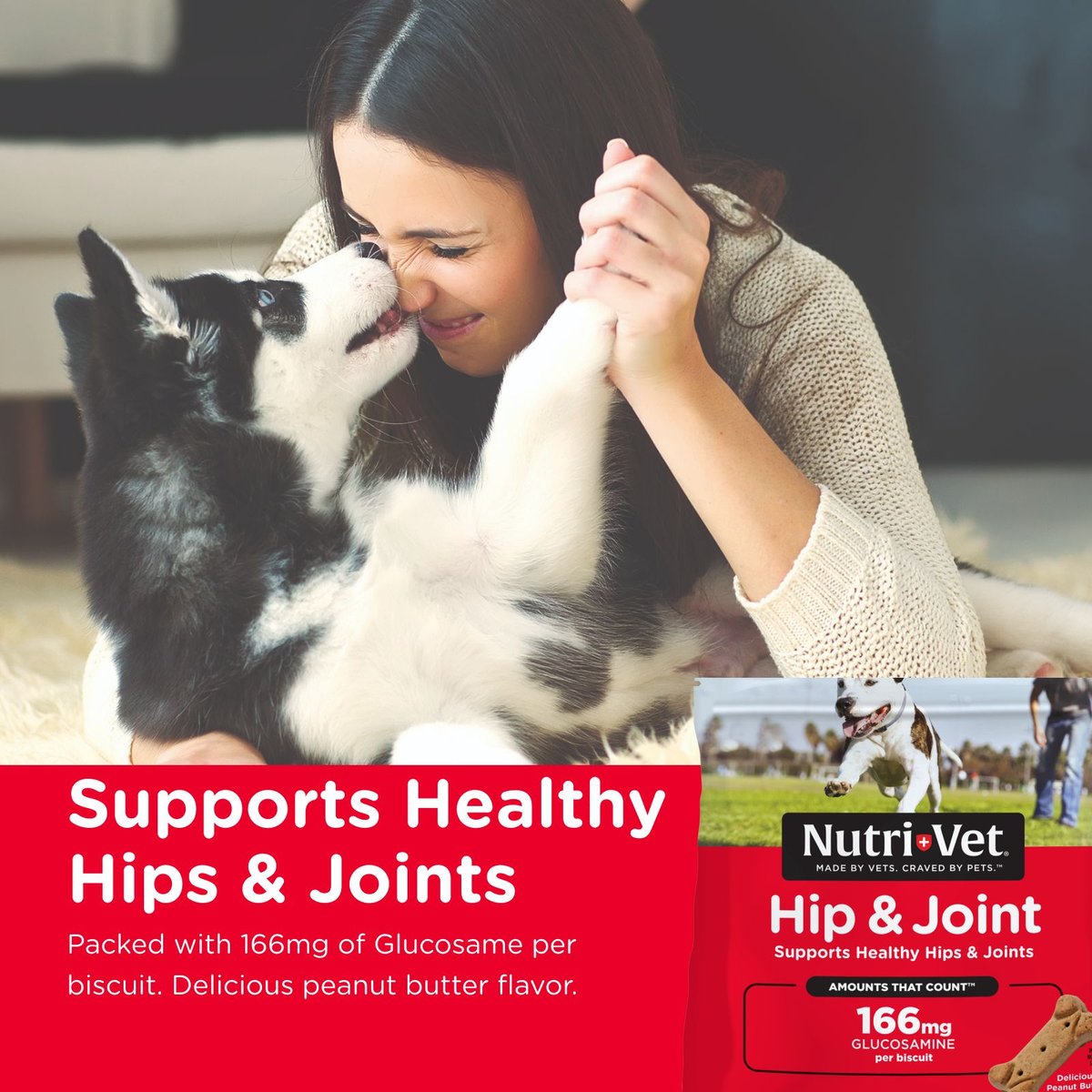 Nutri-Vet Hip and Joint Regular Strength Biscuits for Small and Medium Dogs Peanut Butter Flavor Treats