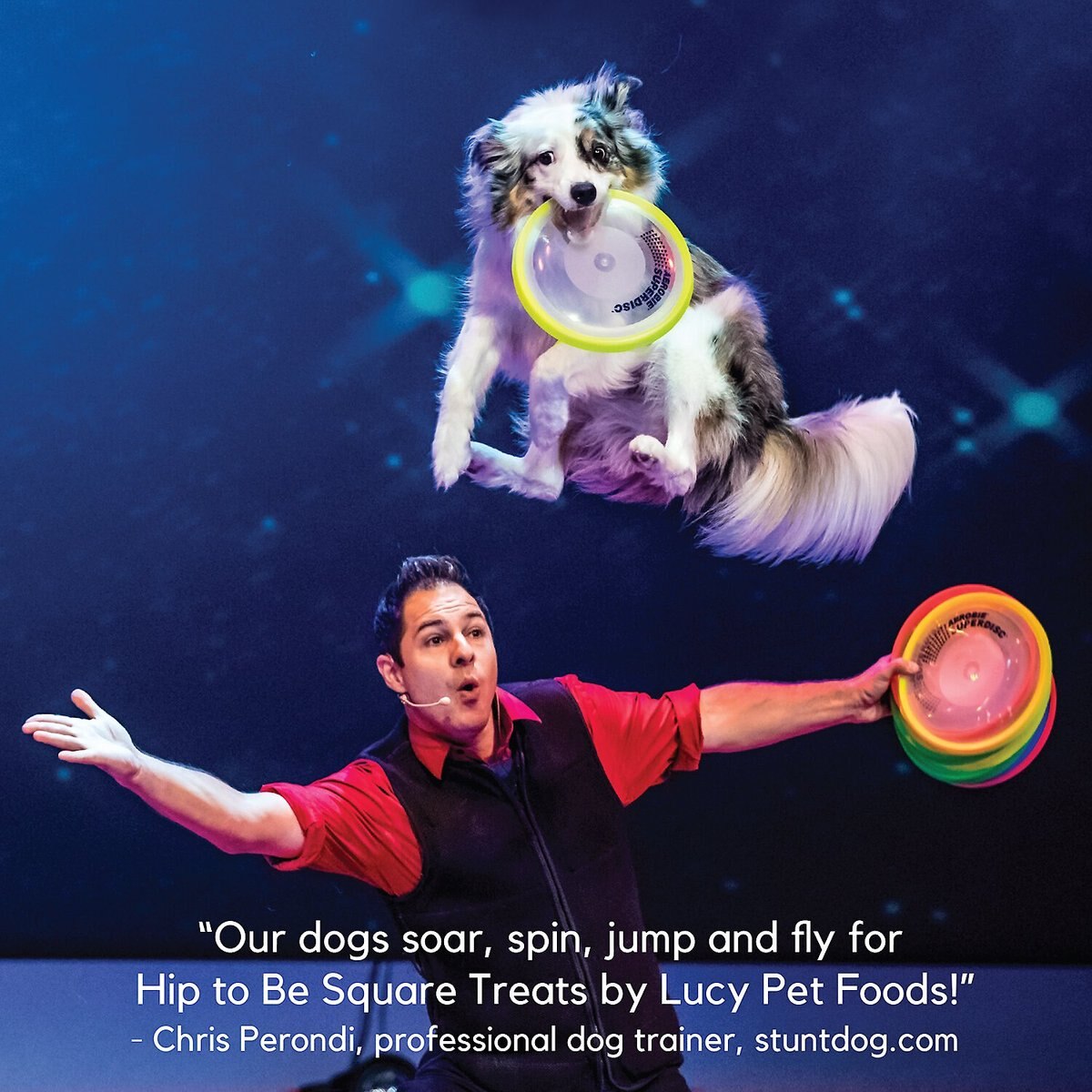 Lucy Pet Products Hip To Be Square Salmon and Pumpkin Formula Grain-Free Dog Treats