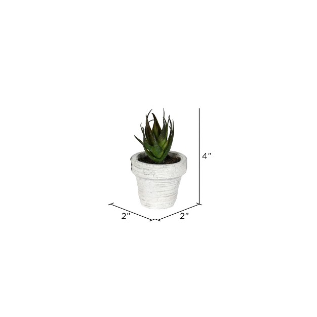 Vickerman Artificial Assorted Potted Artificial Succulents