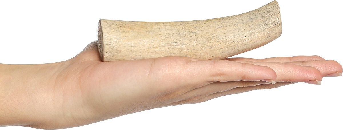 Bones and Chews Made in USA Deer Antler Dog Chew