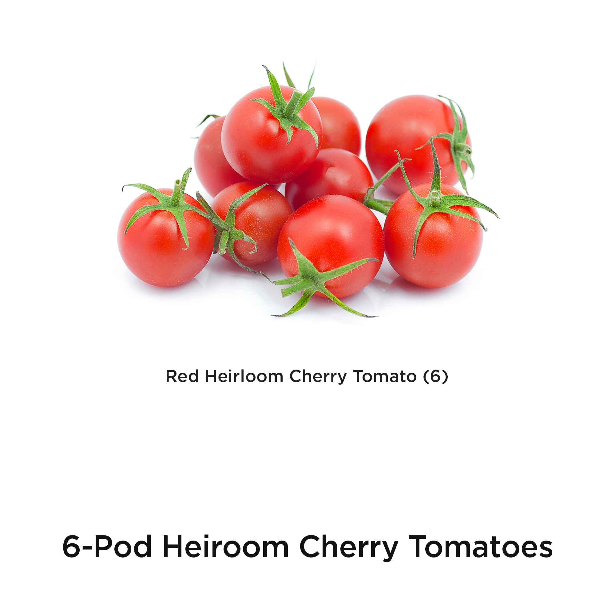 AeroGarden Red Heirloom Cherry Tomato Seed Pod Kit， 6-Pod