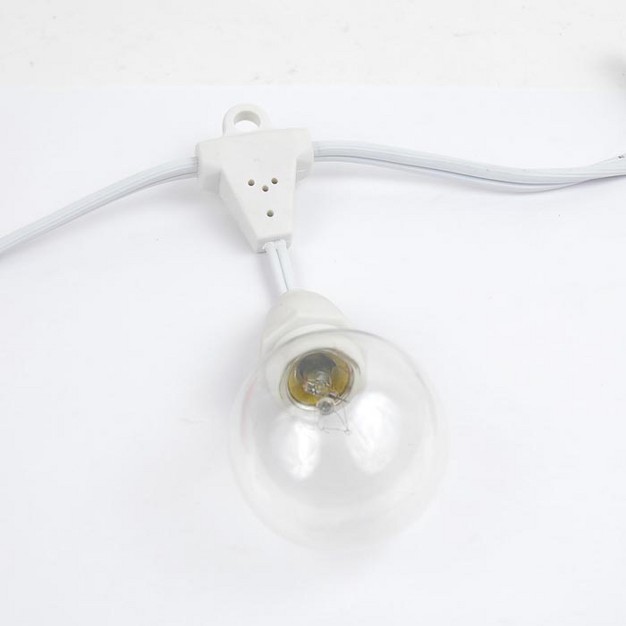 Novelty Lights Globe Outdoor String Lights With 100 Suspended Sockets Suspended White Wire 100 Feet