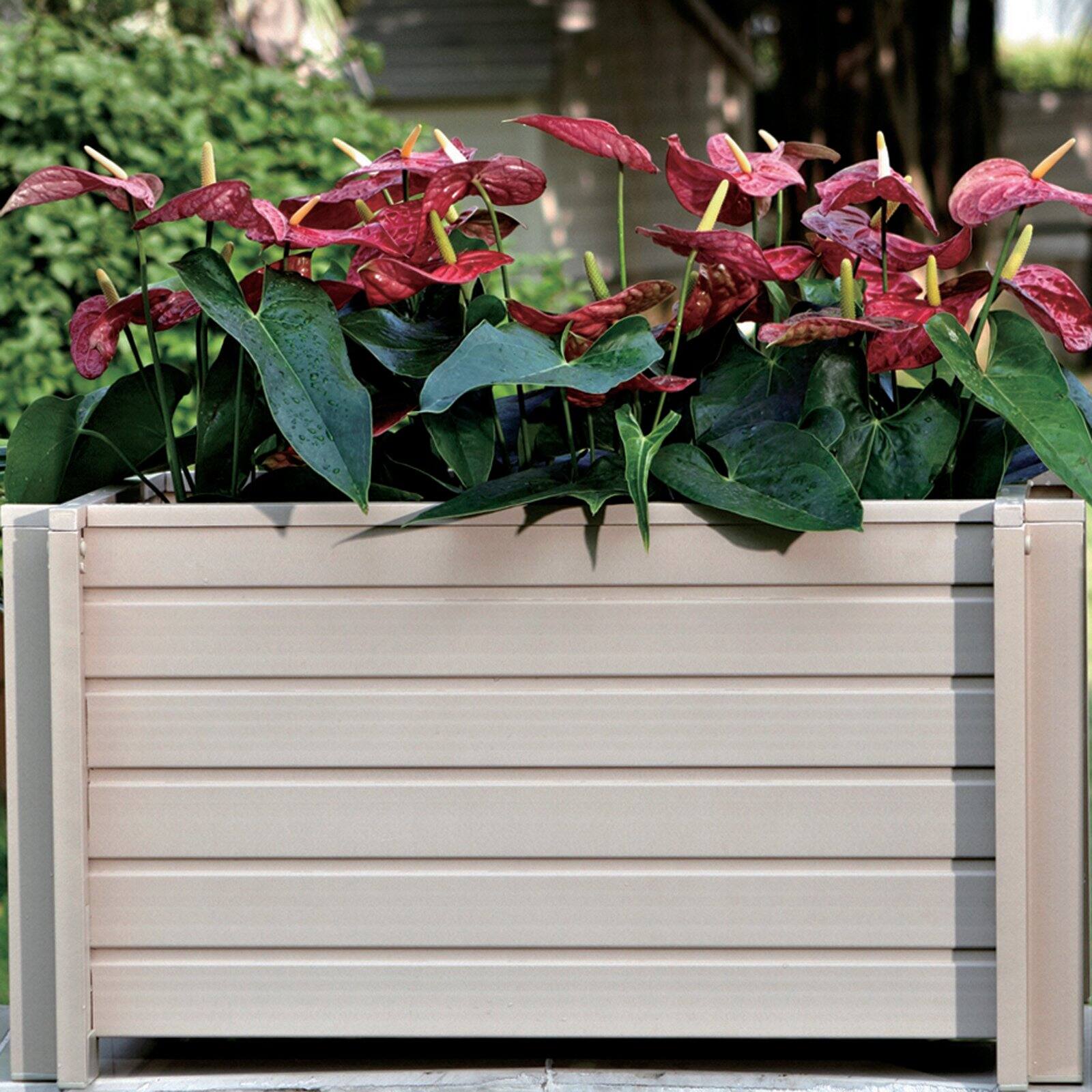 ecoChoice Rectangular Planter Box