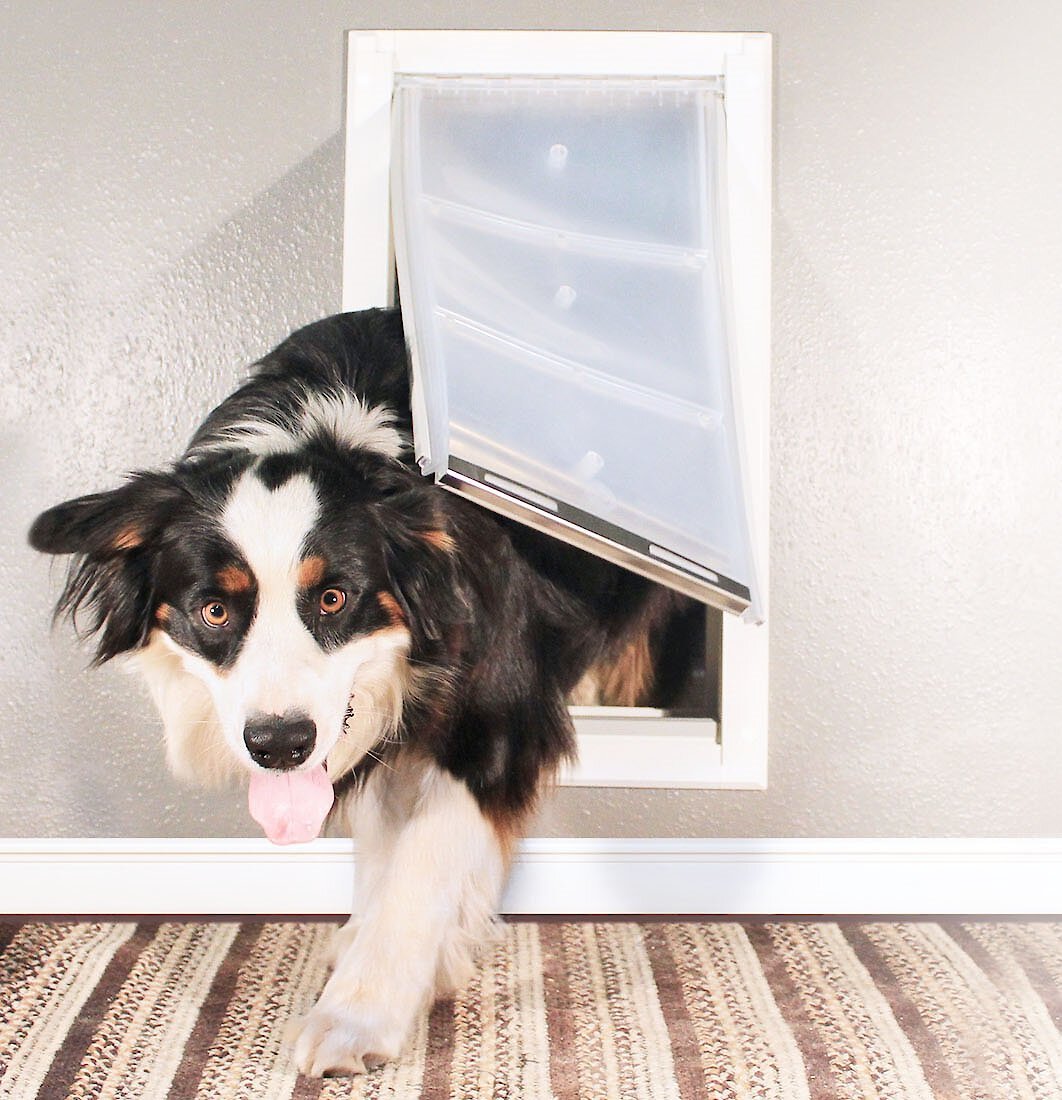 Endura Flap Single Flap Wall Mount Dog and Cat Door