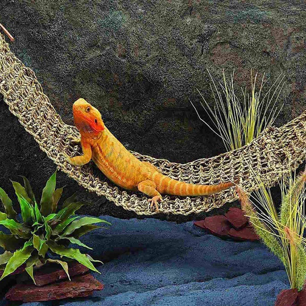 Ugerlov Bearded Dragon Hammock Set，Lizard Lounger Hammock，100% Natural Seagrass Fibers Hammock for Reptiles，Reptile Leaves Decor Accessories for Chameleon，Lizards，Gecko，Snakes