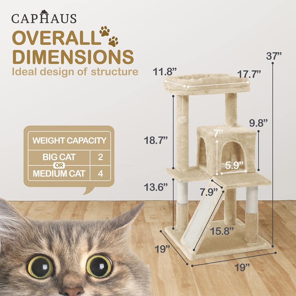 CAPHAUS 37 in. Beige Cat Tower for Indoor Cats, Modern Cute 37 in. Small Cat Tree with Widened Perch PHFC-BH381901-BG