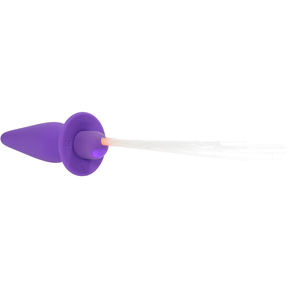 Southern Lights Vibrating Butt Plug in Purple