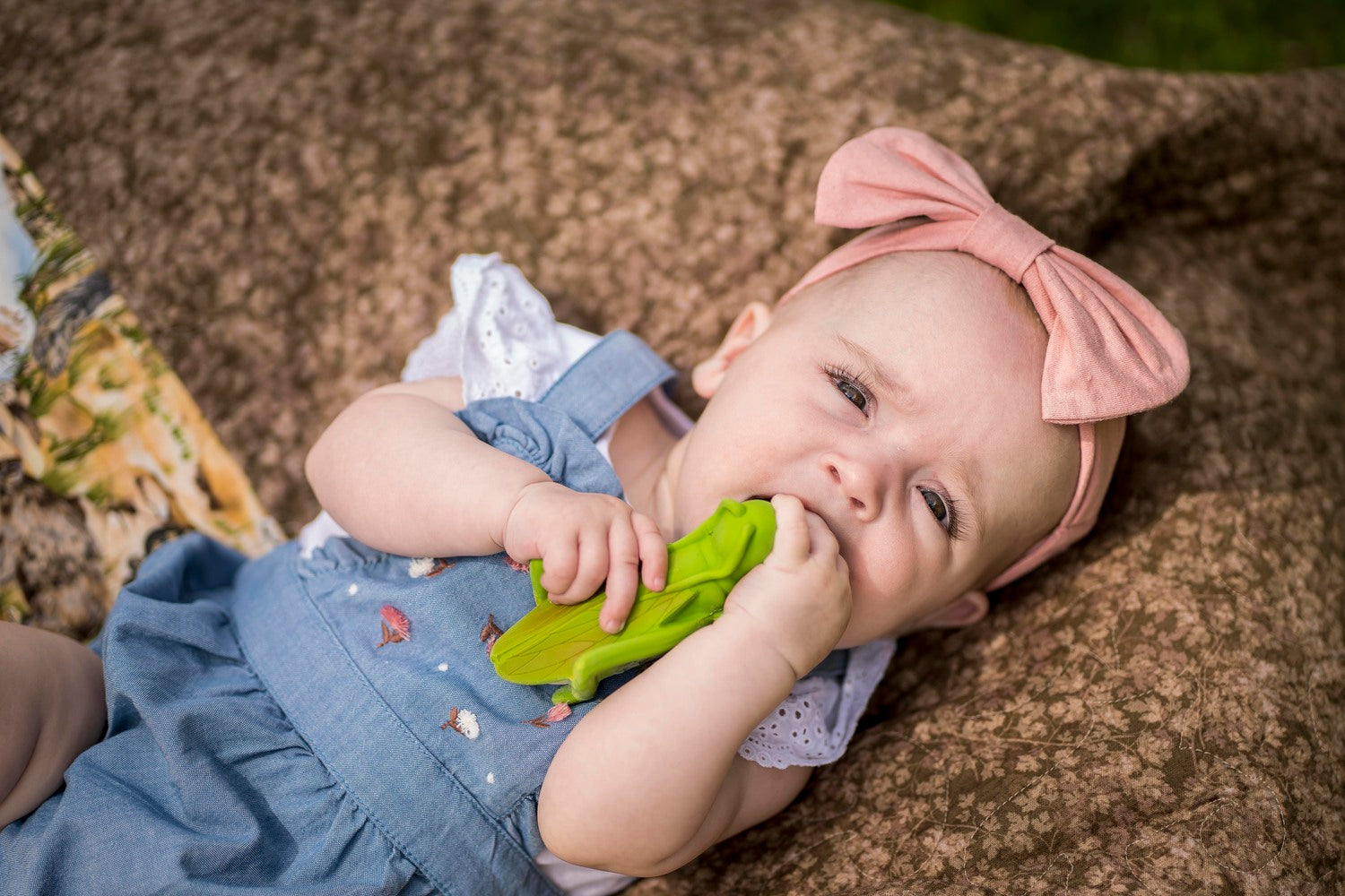 Grasshopper Natural Rubber Teether, Rattle & Bath Toy