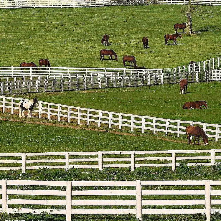 Factory Directly Supply Long Longevity Vinyl PVC Fencing Panels Horse Fence