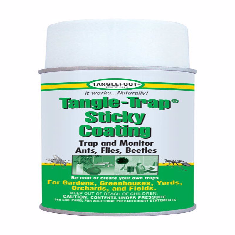 INSECT TRAP COATING 10OZ