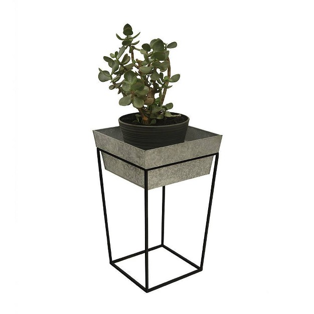 Large Indoor Outdoor Iron Arne Plant Stand With Deep Galvanized Steel Tray Black Achla Designs