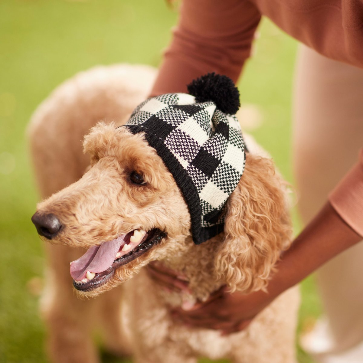 Frisco Plaid Dog and Cat Knitted Hat