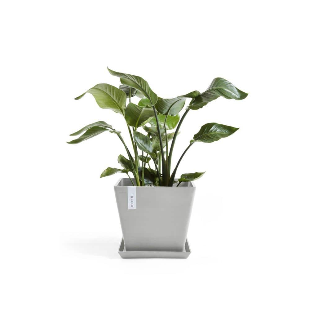 O ECOPOTS BY TPC Rotterdam 12 in. White Grey Premium Sustainable Planter ( with Saucer) ROTS.30.WG