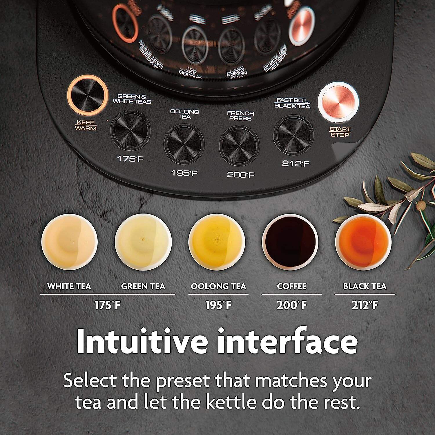 Vianté Hot Tea Maker Electric Glass Kettle with tea infuser and temperature control. Automatic Shut off. Brewing Programs for your favorite teas and Coffee.