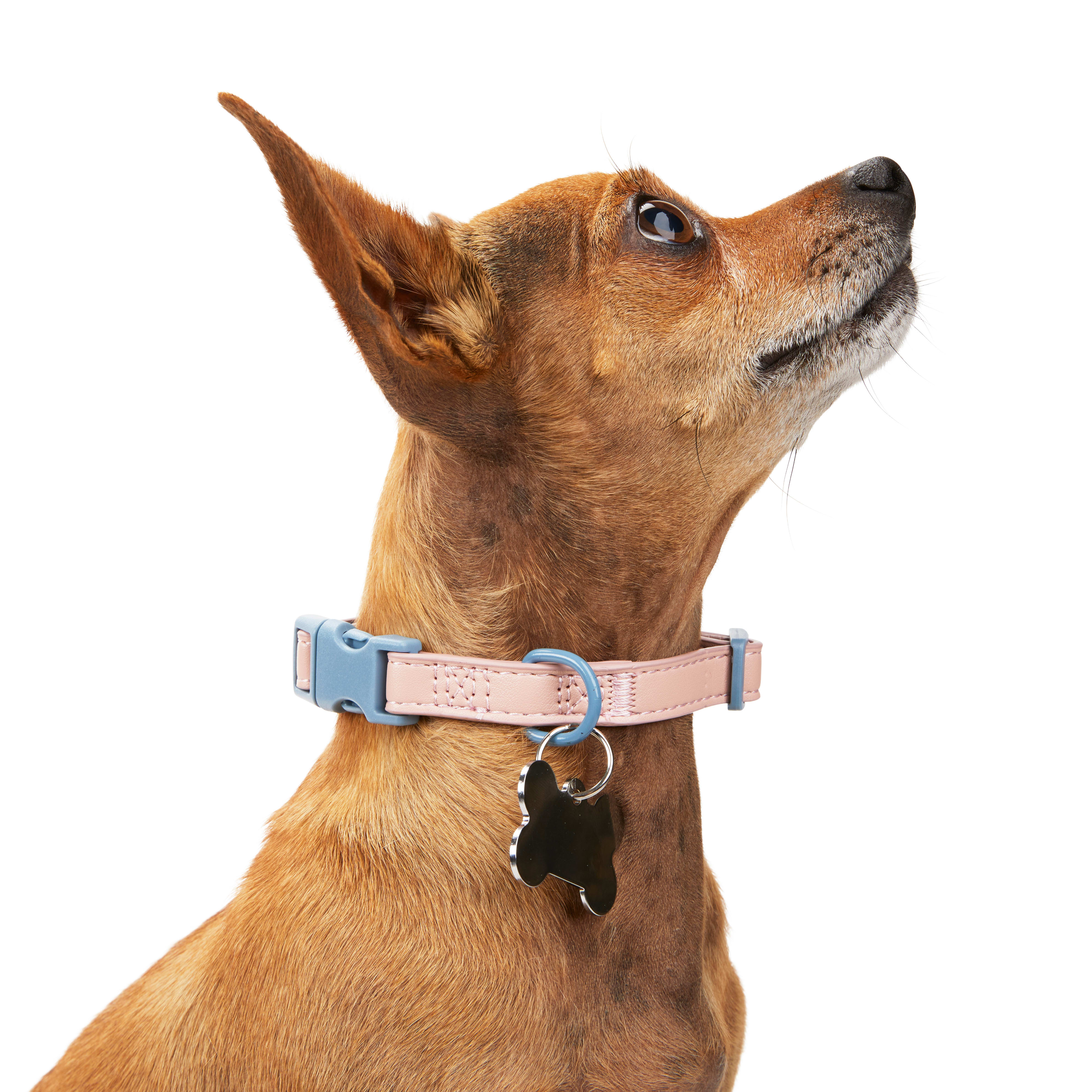 YOULY The Heir Pink  Blue Small Dog Collar， XX-Small/X-Small