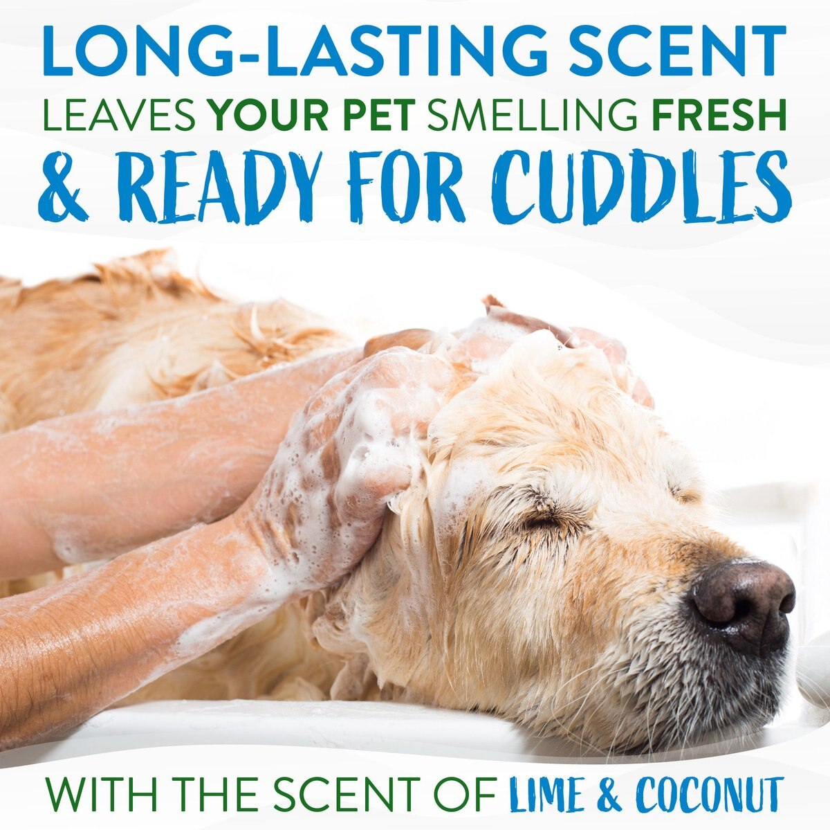 TropiClean Lime and Coconut Deshedding Dog Shampoo