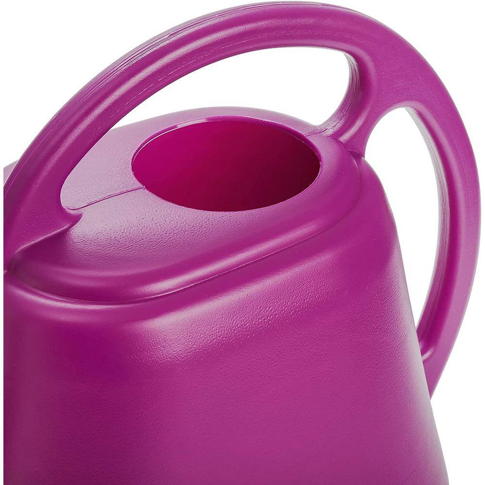 Cubilan 1 Gal. Purple Plastic Watering Can B08H59HSHZ