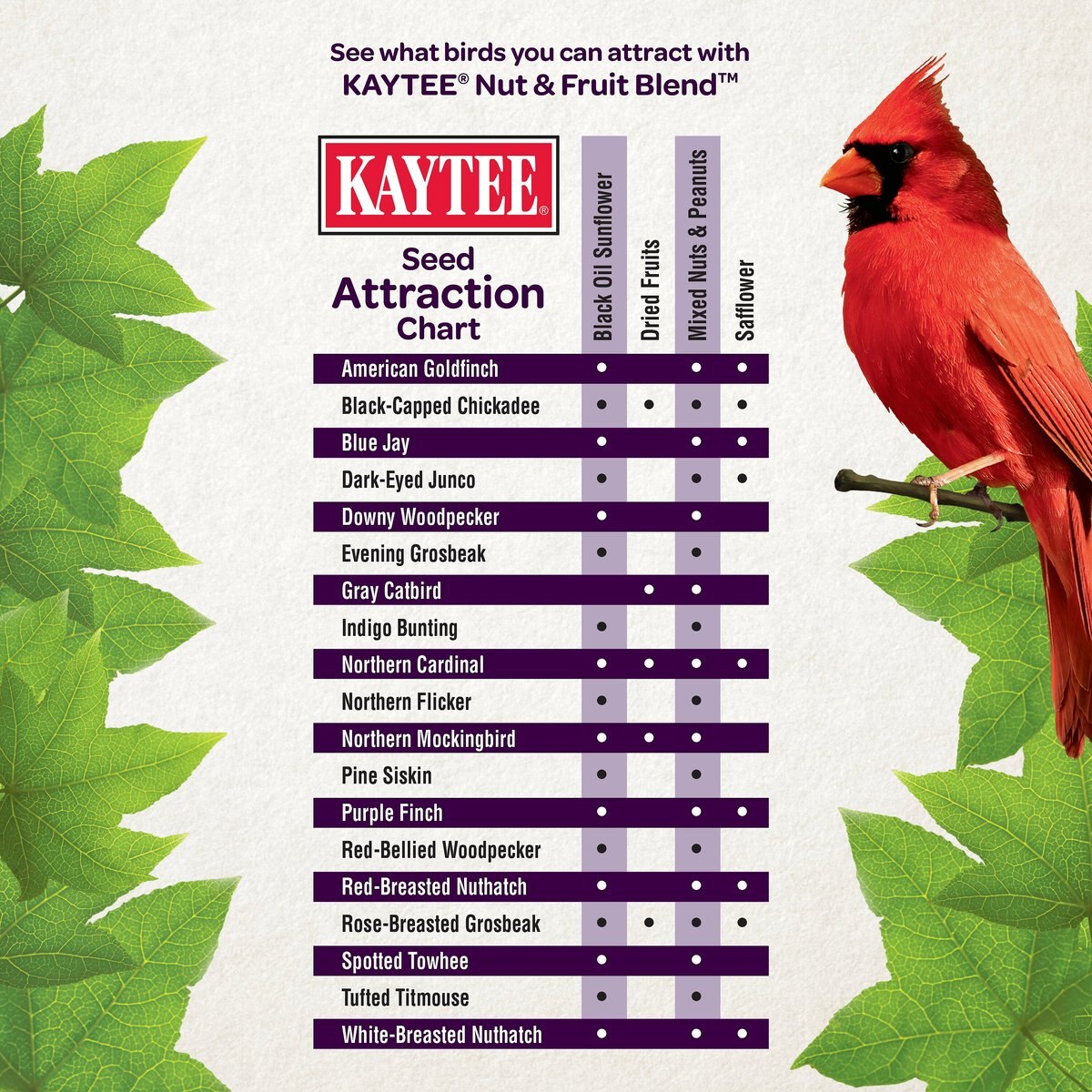 Kaytee Nut and Fruit Blend Wild Bird Food