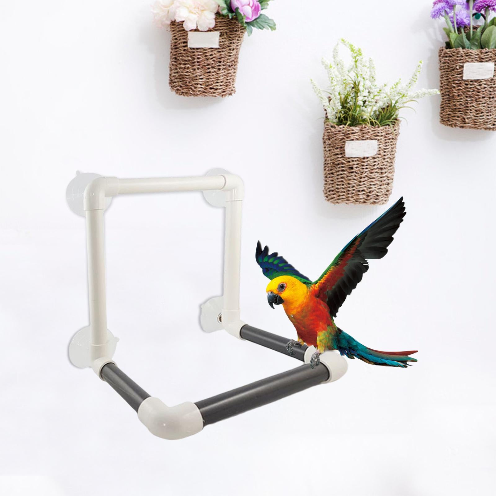 Plastic Bird Parrot Shower Perch Parrot 4 Suction Cups Bath Platform for Cockatoo