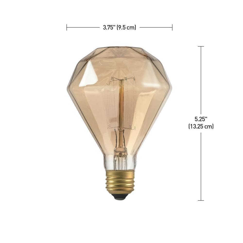 Globe Electric 40 Watt Diamond Shape Dimmable Cage Filament Amber Glass Vintage Edison Incandescent Light Bulb Soft White Light 84644