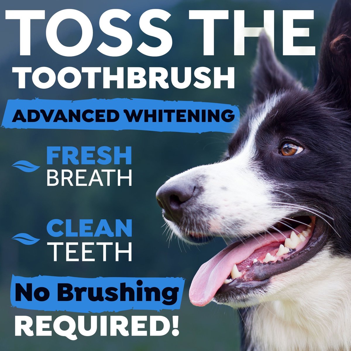 TropiClean Fresh Breath Advanced Whitening Dental Health Solution Dog Dental Water Additive