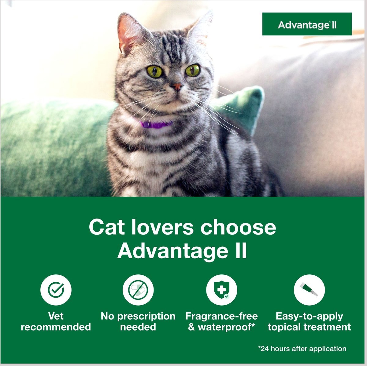 Advantage II Flea Spot Treatment for Cats， over 9 lbs