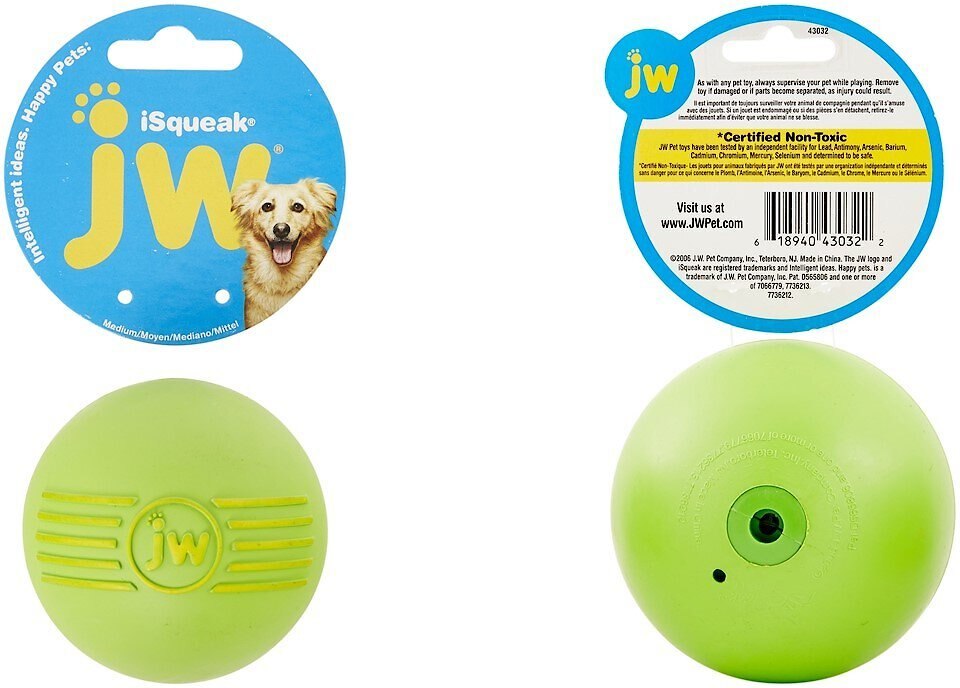 JW Pet iSqueak Ball Dog Toy， Color Varies