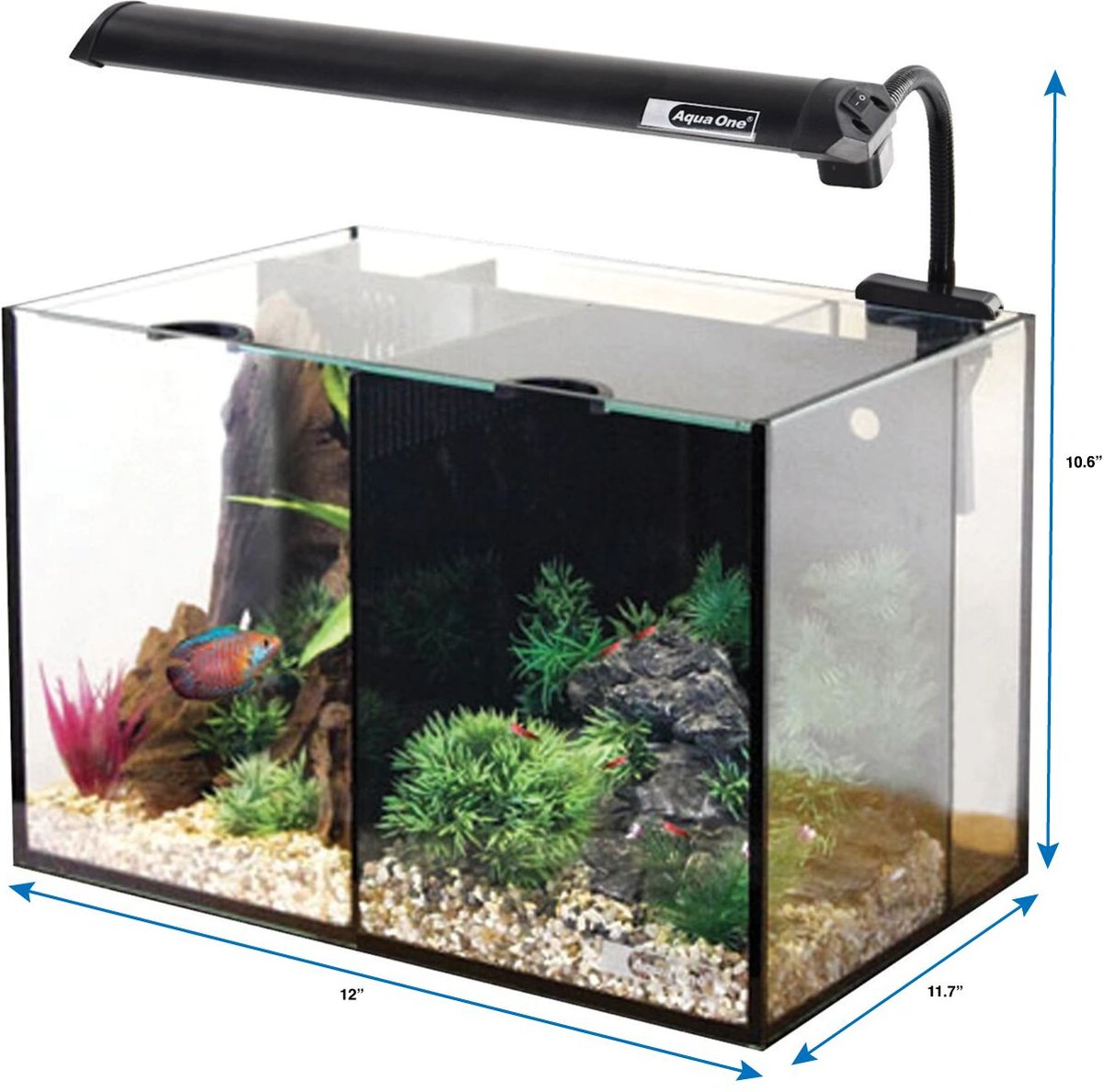 Underwater Treasures Aqua One Betta Duo Aquarium， 5.3-gal