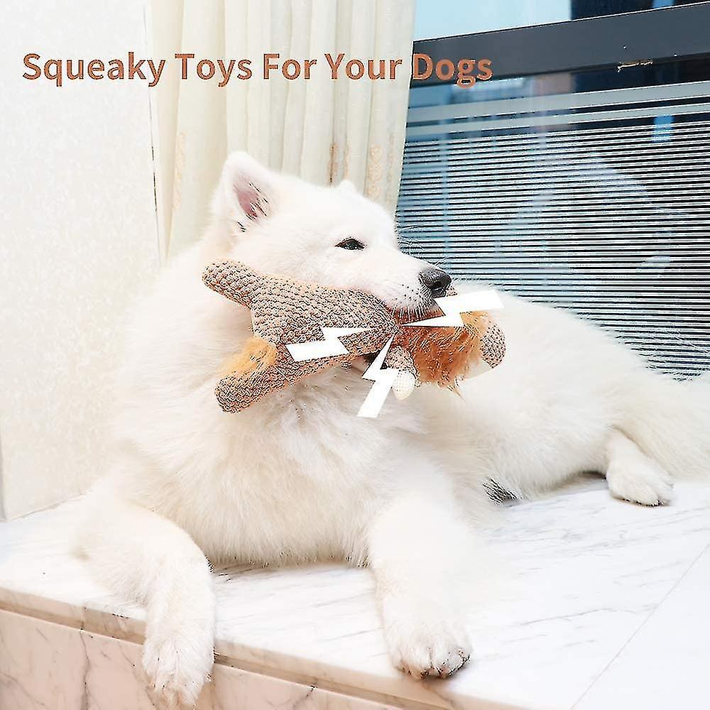 Dog Toys， Squeaky Puppy Toy， Interactive Stuffed Lion Plush Toy And Durable Rope Chew Toys Pack For