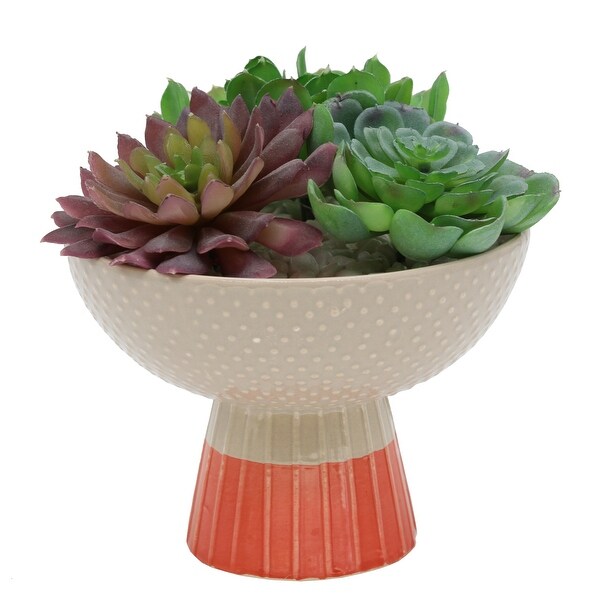 Artificial Plant Succulent Mix in Two Tone Bowl Ceramic Planter