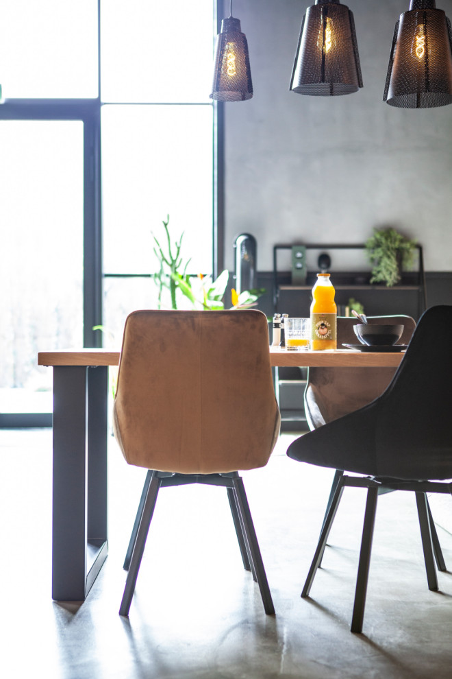 Brown Velvet Dining Chairs (2)  By Boo Beau   Midcentury   Dining Chairs   by Oroa   Distinctive Furniture  Houzz