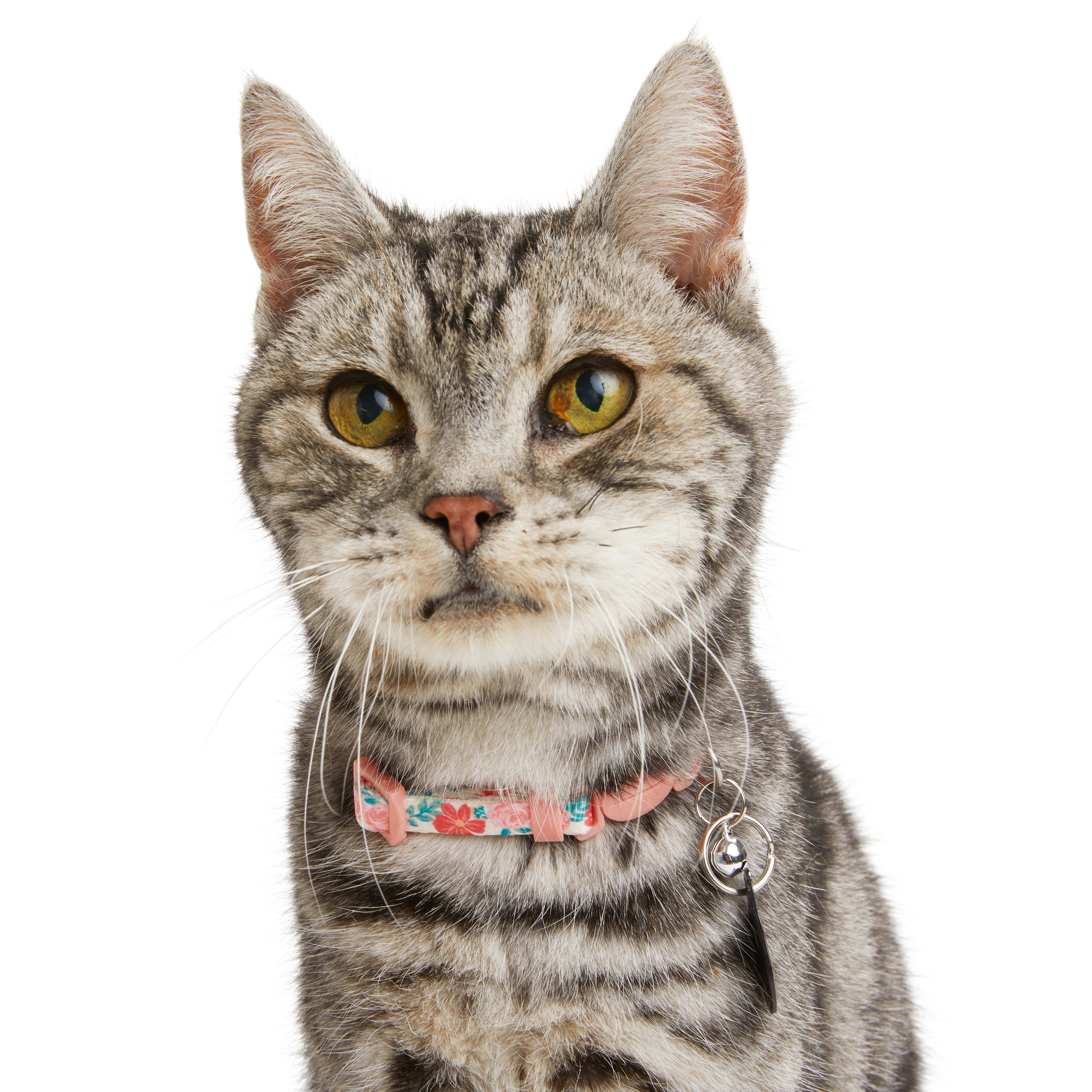 YOULY Rose Kitten Collar