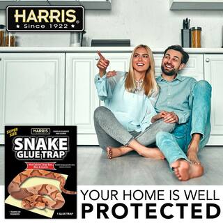 Harris Snake Glue Trap Super Size (3-Pack) 3SNAKE-1