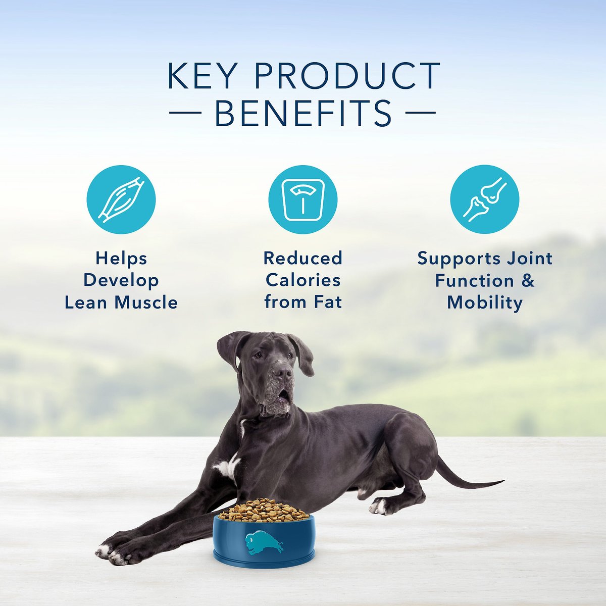 Blue Buffalo Life Protection Formula Large Breed Healthy Weight Adult Chicken and Brown Rice Recipe Dry Dog Food