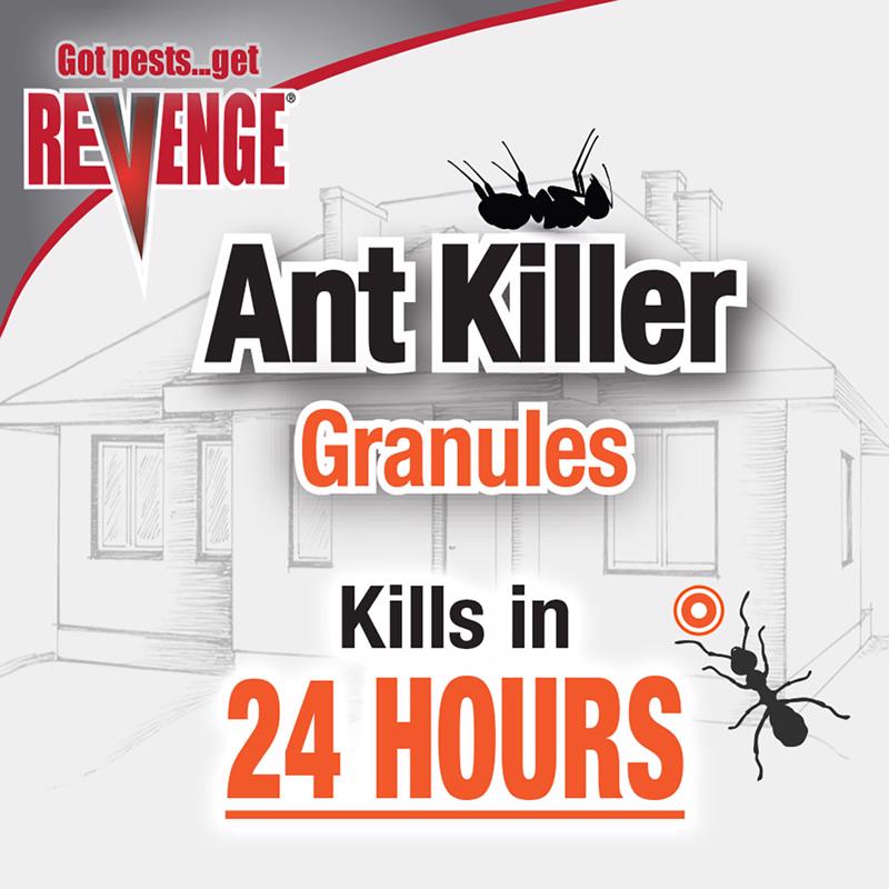 ANT KILL GRANULES 4LB