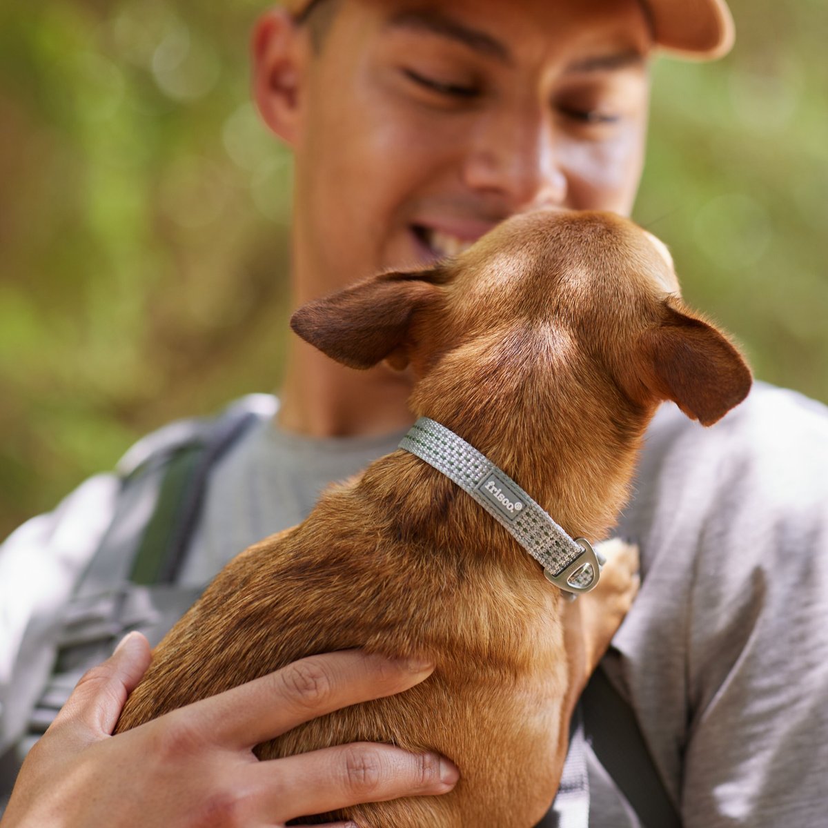 Frisco Outdoor Ultra Reflective Nylon Dog Collar