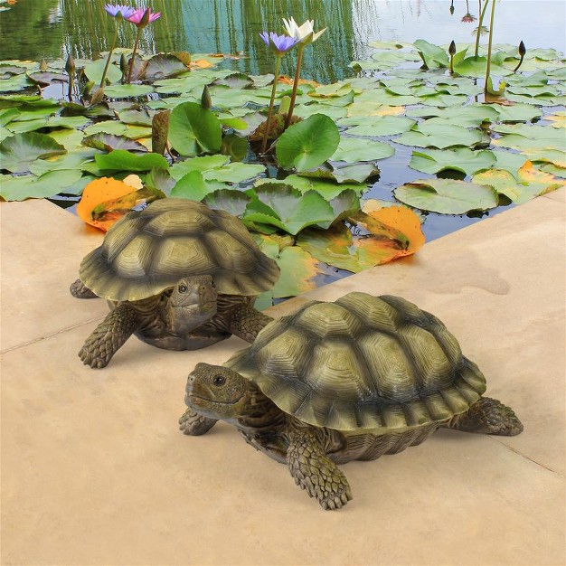 Design Toscano Gilbert The Box Turtle Statues Set Of Two